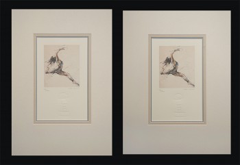 2-mounts-web